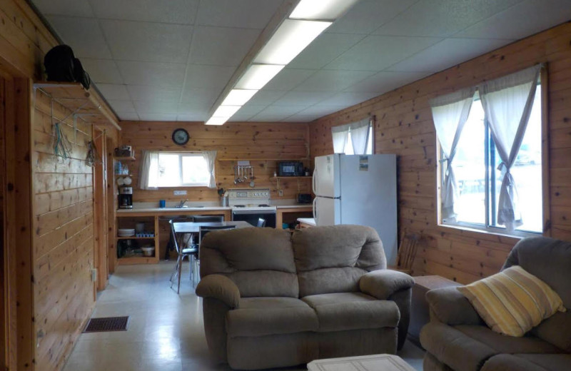 Cabin kitchen living room at Owls Nest Lodge.