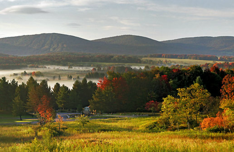 Scenery around Timberline Mountain-Access Properties.