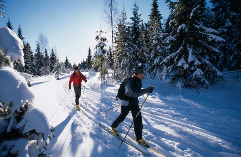 Cross country skiing near McGuire's Resort.