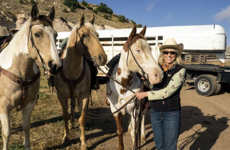 Bring your horse to Colorado Cattle Company Ranch.