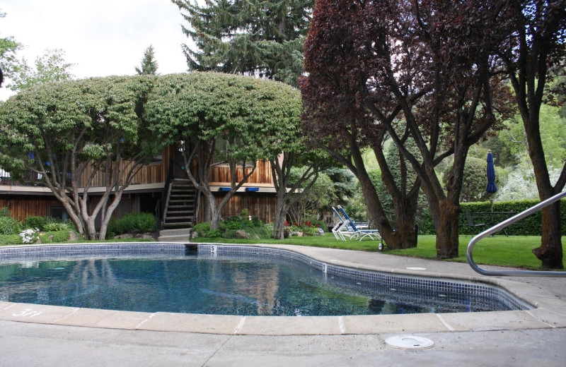 Outdoor pool at St. Moritz Lodge & Condominiums.