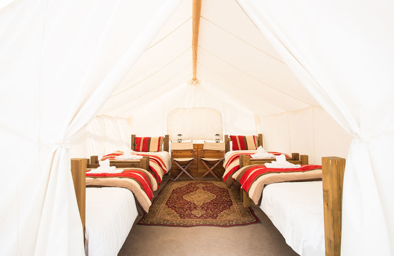 Tent beds at Grand Canyon Under Canvas.