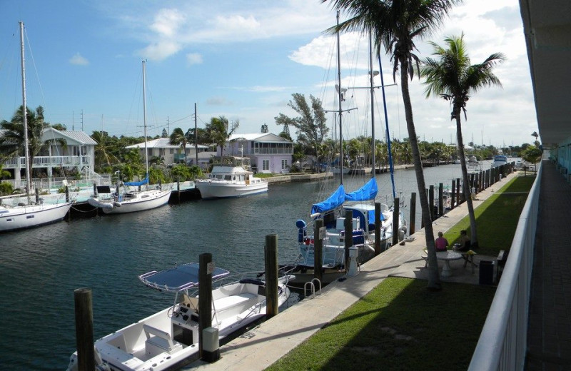 The Marina at Sombrero Resort & Marina.