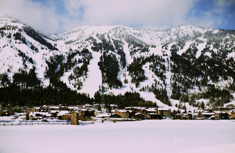 Mountains at Alpenhof Lodge.