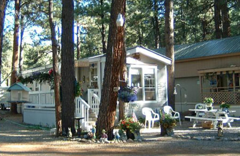 Summer Home at Vallecito Resort