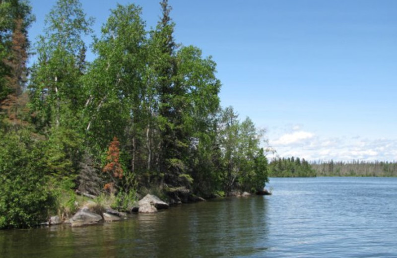 Boreal Forest at Lac La Ronge Lodge