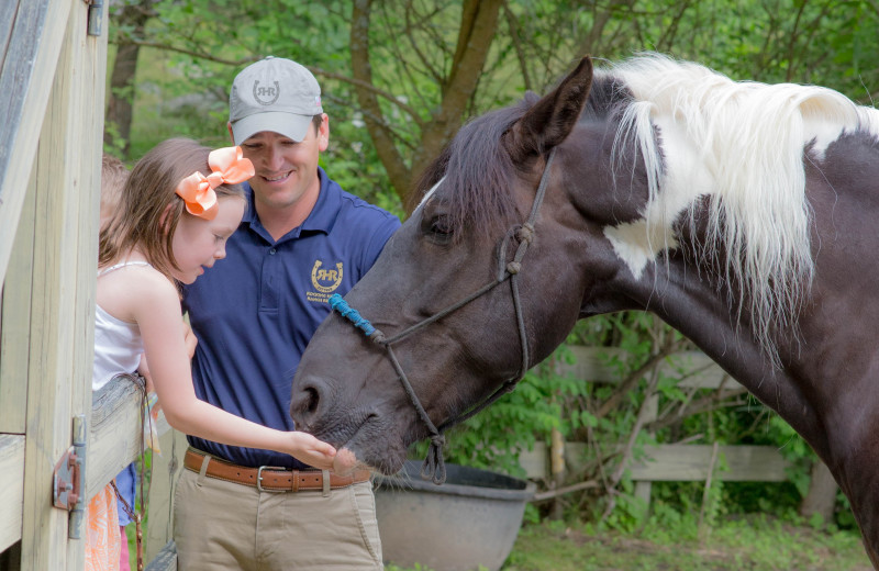 Horses at Rocking Horse Ranch Resort.