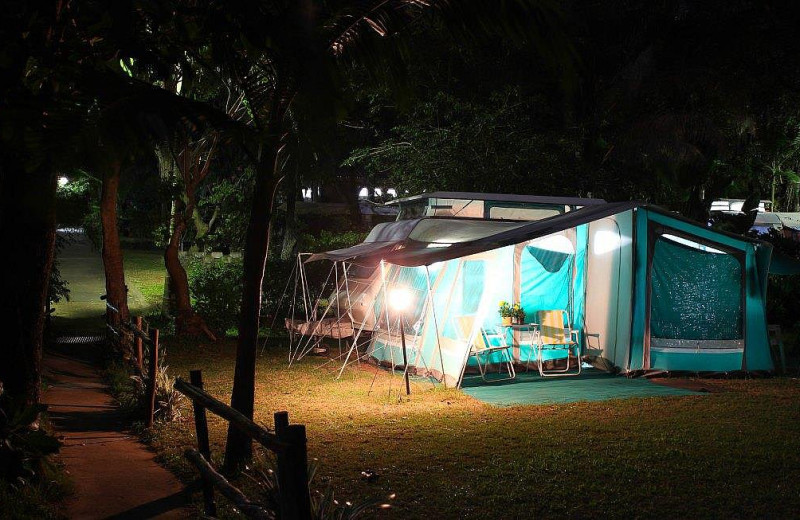 Tents at Dolphin Holiday Resort.