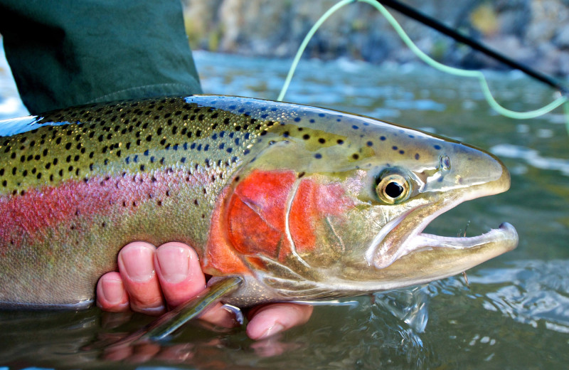 Fishing at UXU Ranch.