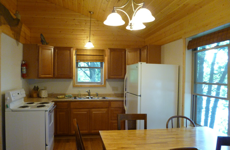 Cabin kitchen at Swan Lake Resort.