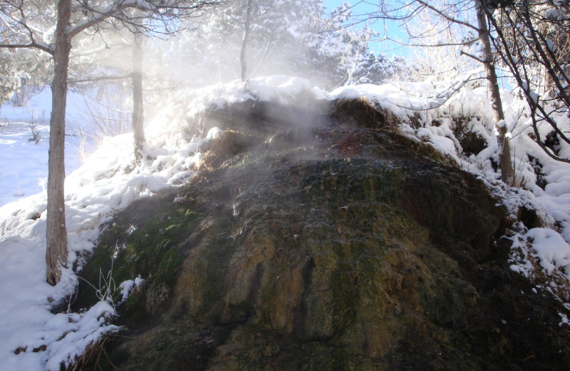 Springs at Box Canyon Lodge & Hot Springs.