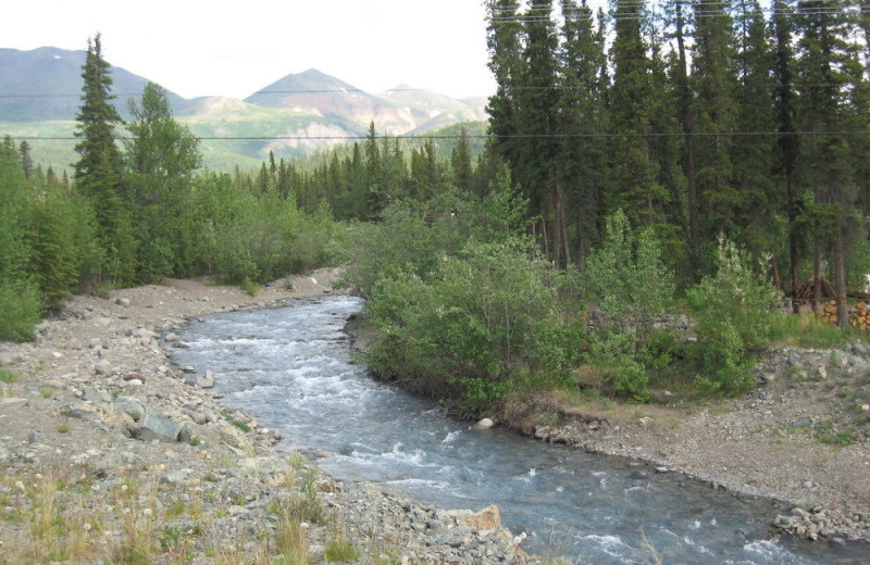 River at Denali Perch Resort.