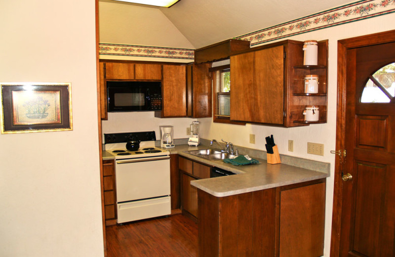 Kitchen at the Mountain Retreat