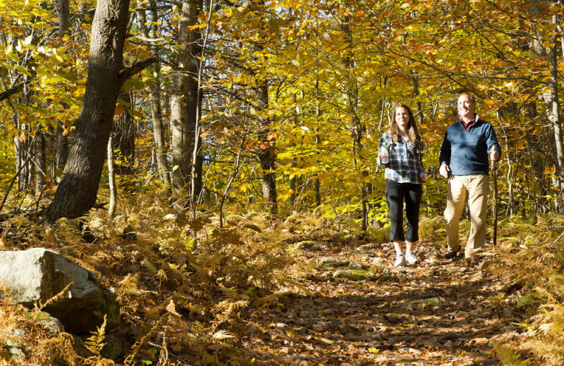 Hikes at Steele Hill Resorts.