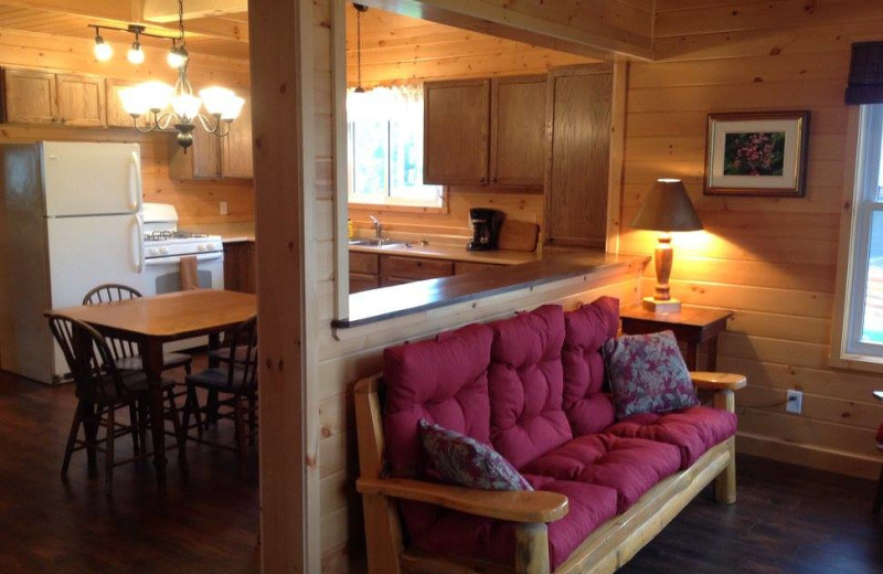 Cabin kitchen at Fernleigh Lodge.