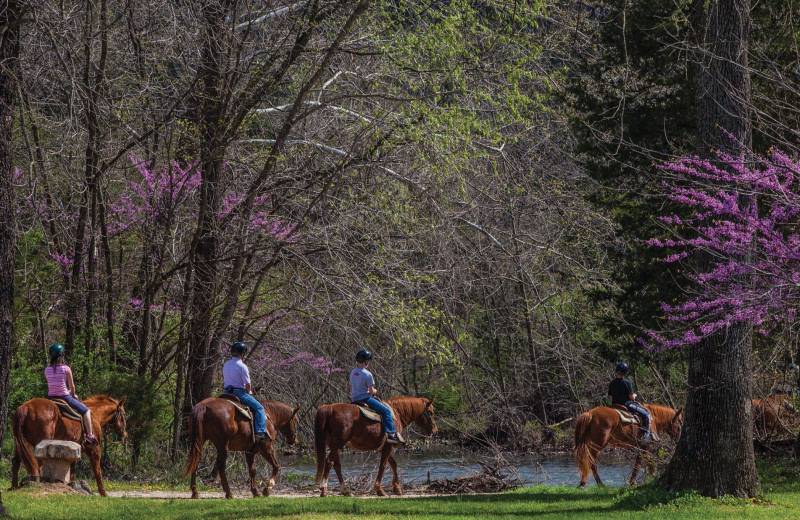 Horseback riding at YMCA Trout Lodge & Camp Lakewood.