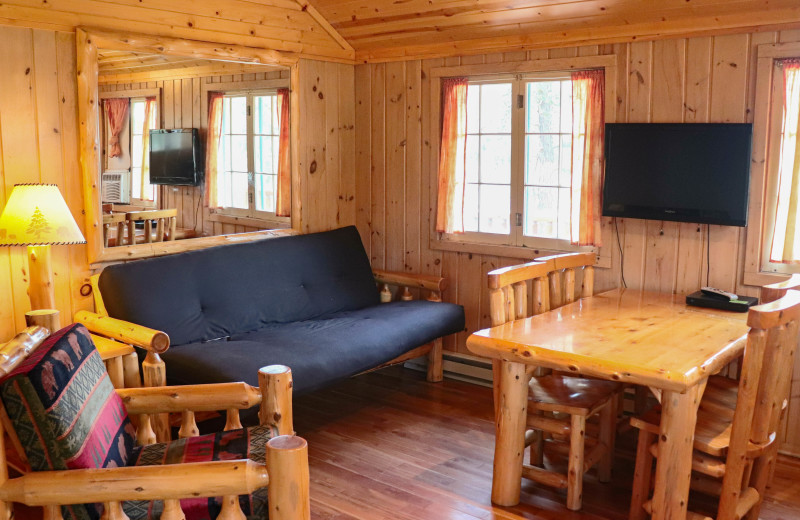 Cabin living room at Wilderness Resort Villas.