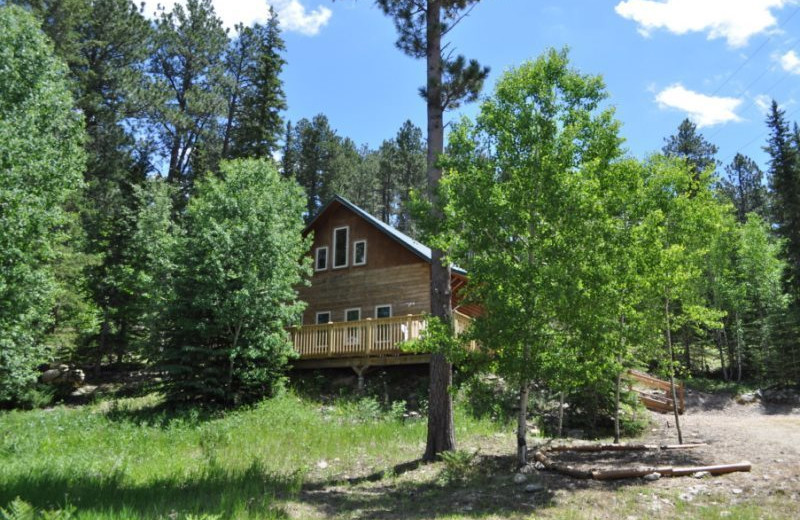 Cabin exterior at Deadwood Connections.