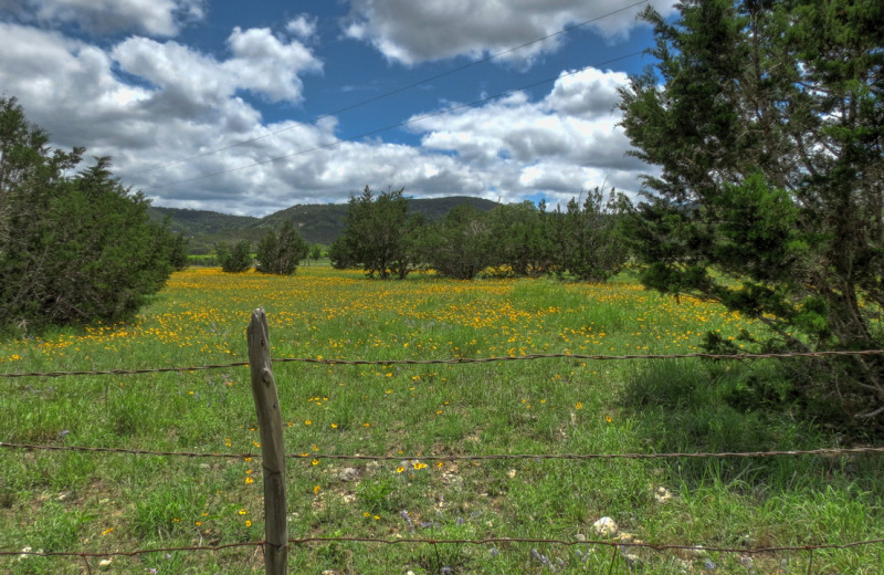 View from Foxfire Cabins.