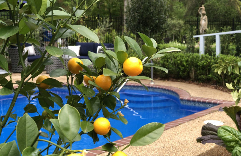 Outdoor pool at St. Francisville Inn 