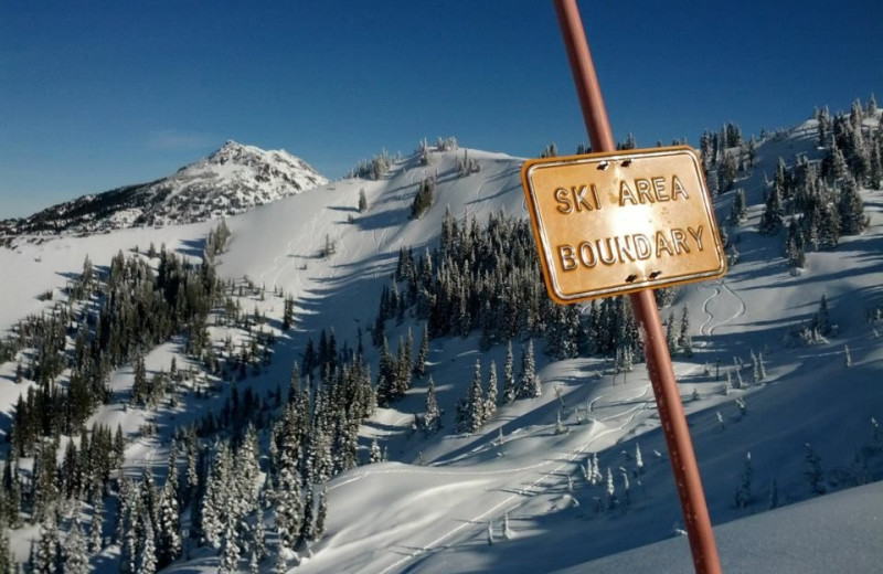 Ski near Olympic View Cabins.