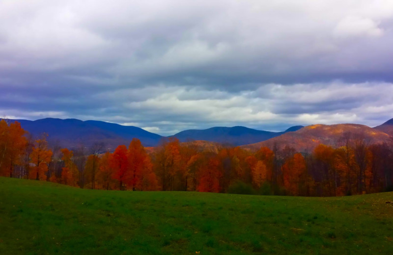 Fall colors at The Inn at Willow Pond.