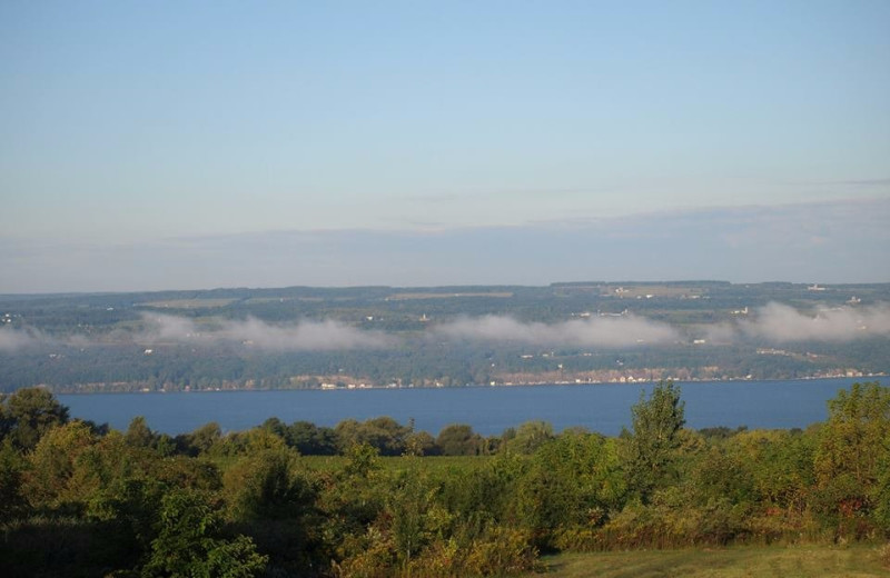 Lake view at The Fox and The Grapes Bed and Breakfast.