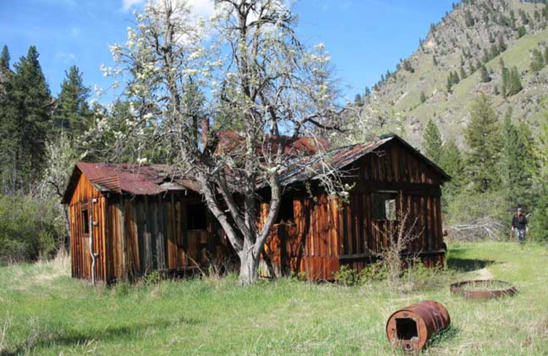 Cabin at Silver Spur Outfitters.