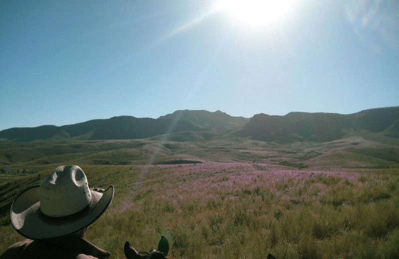 Horseback riding at Cibolo Creek Ranch.