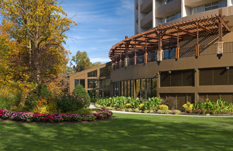 Exterior view of Park Vista Resort Hotel.