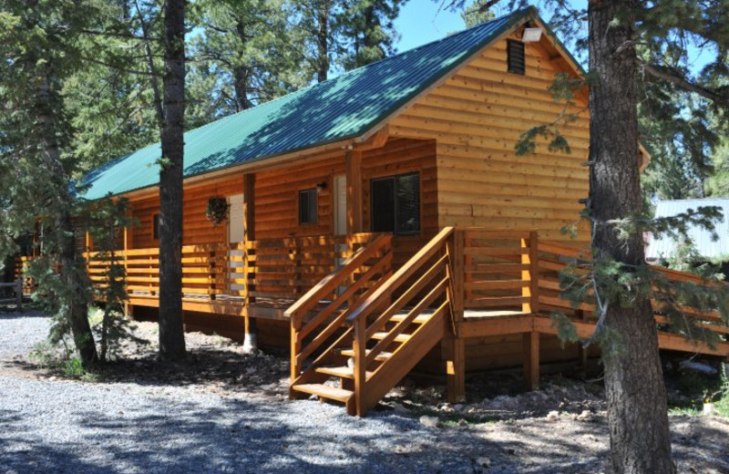 Cabin view at Pinewoods Resort.