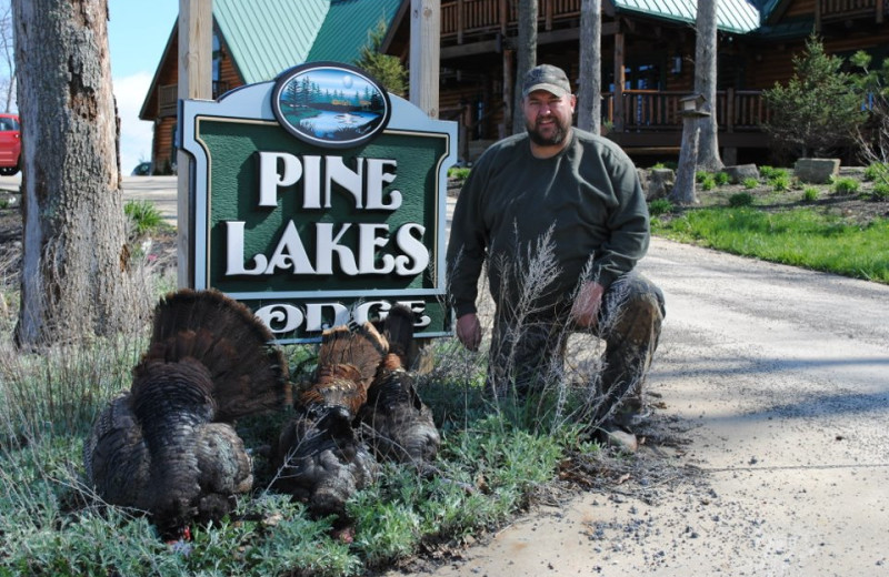 Hunting turkey at Pine Lakes Lodge.