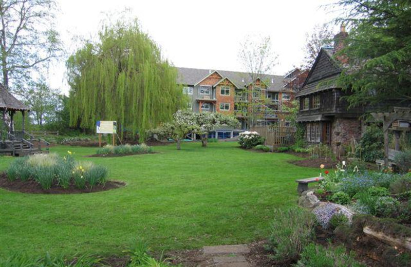 Exterior View at Old House Village Hotel and Spa 