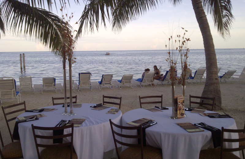 Party at Hampton Inn & Suites Islamorada.
