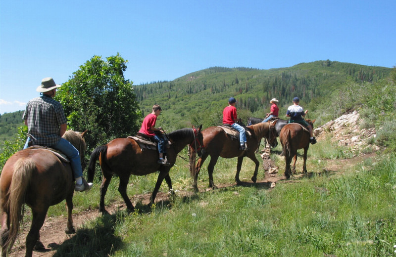 Horseback riding at Fin and Feather Inn.