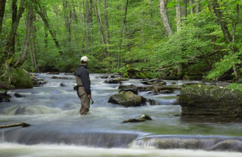Fishing near Snowshoe Properties Management.