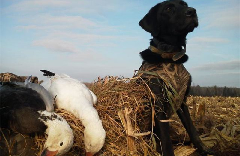 Hunting at Cedar Valley Lodge & Hunting.