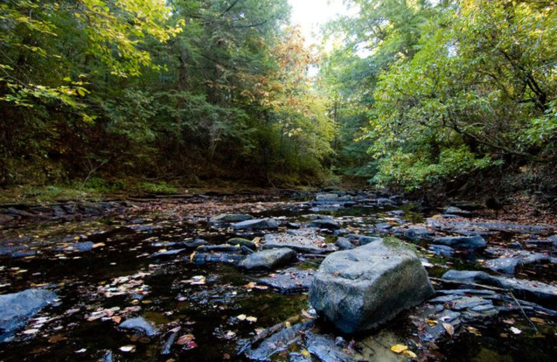 Creek near Highland Rim Retreats.