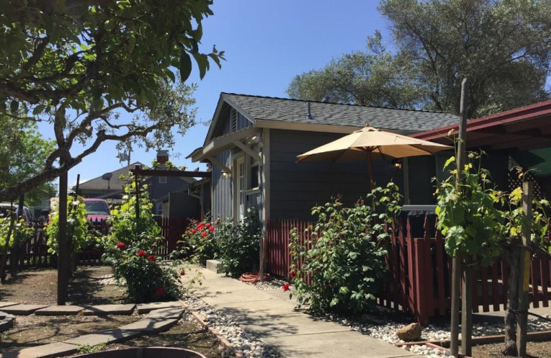 Exterior view of Andrea's Hidden Cottage.