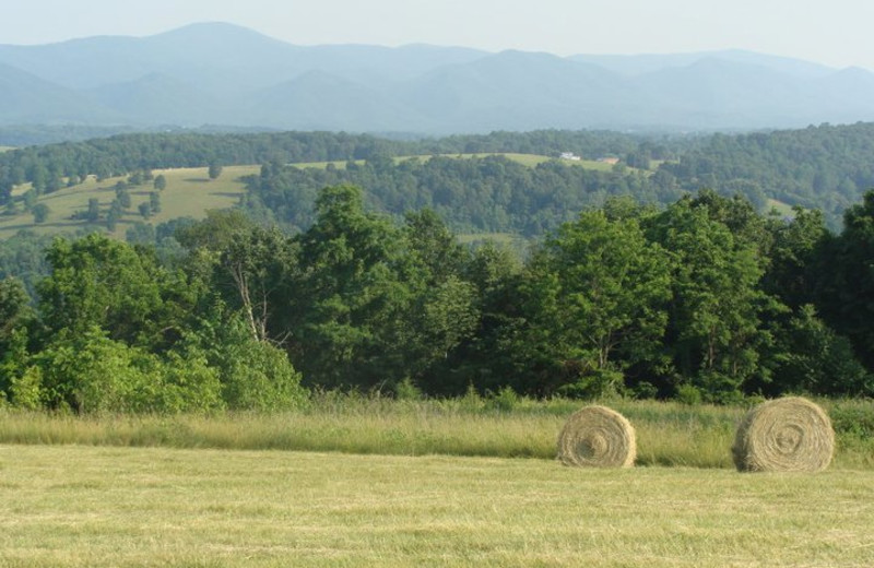 Hay Field at South River Highlands Retreat