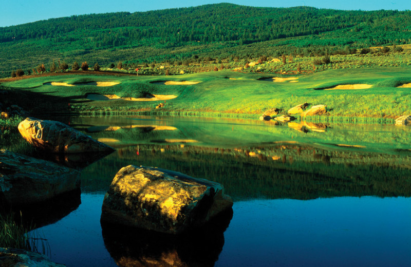 Scenic view at The Pines Lodge, A Rock Resort.