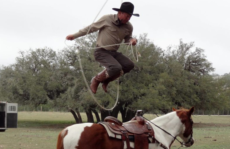 Horse tricks at Silver Spur Guest Ranch.