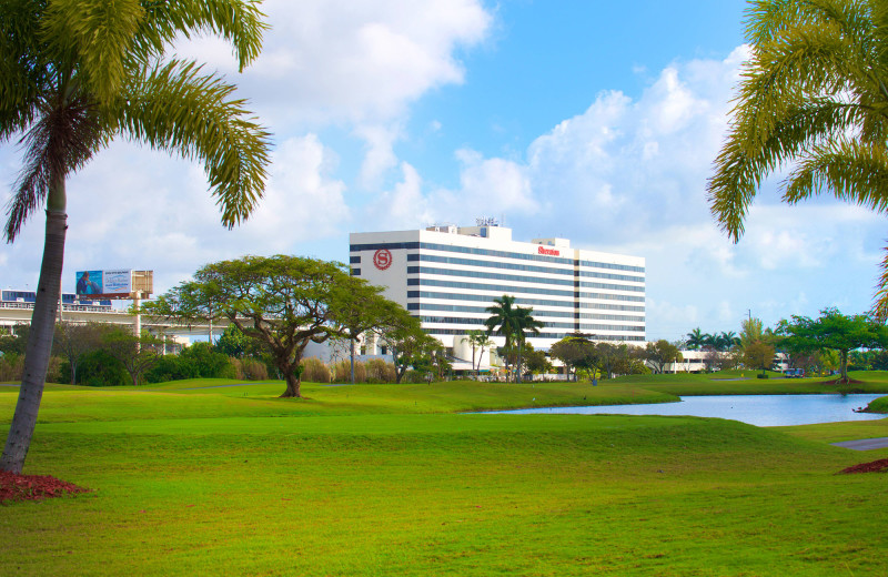 Golf at Sheraton Miami Airport Hotel & Executive Meeting Center.