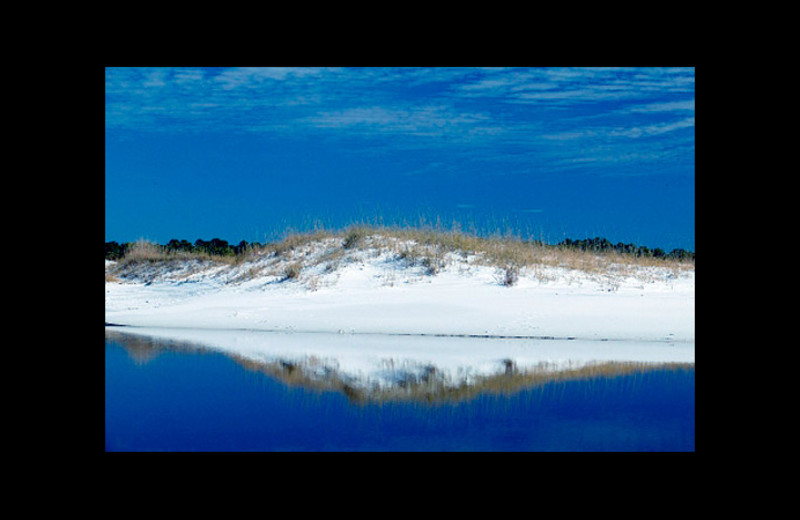 Beach at Beach Vacation, LLC.