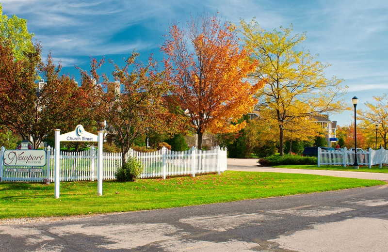 Fall at Newport Resort.