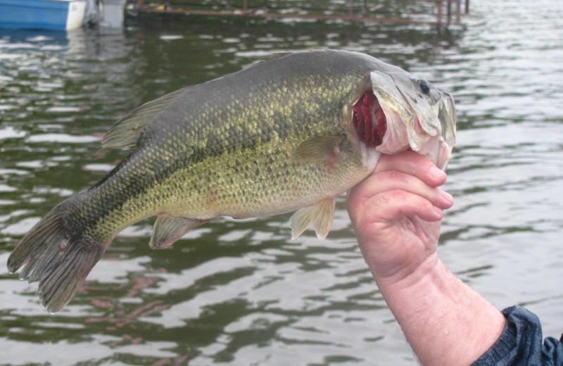 Fishing at Rising Eagle Resort.