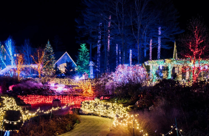 Christmas lights at Harbour Towne Inn on the Waterfront.