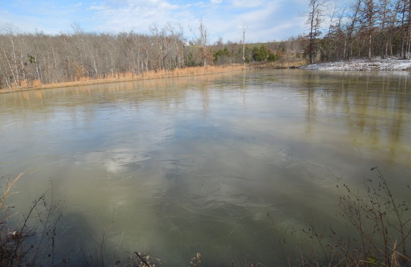 Lake near Azalea Falls Lodge.