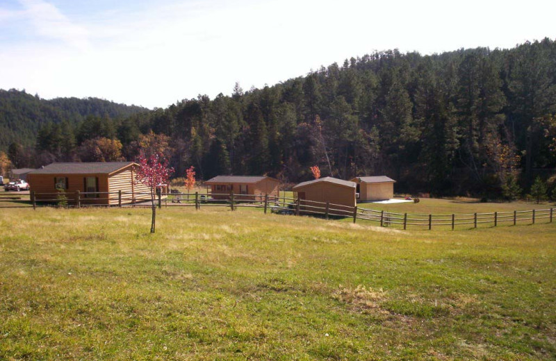 Cabin exterior at American Pines Cabins.