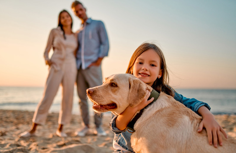 Pets welcome at Sunset Cove Resort Motel.